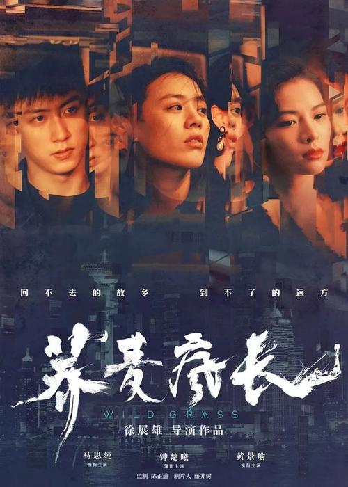 陕西高中毕业证编号怎么写